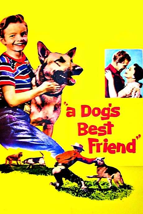 A Dog’s Best Friend